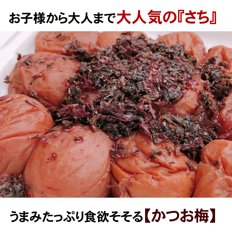 ご家庭用エコパック さち