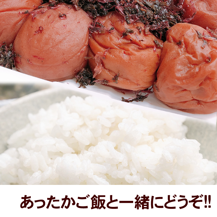 ご家庭用エコパック さち