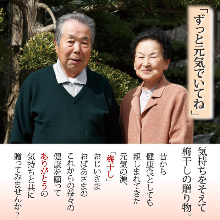 送料無料 ご贈答会場