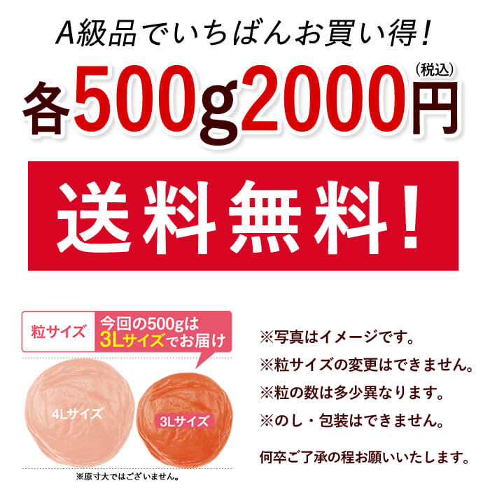 【特別企画】大粒 スイートはちみつ500g