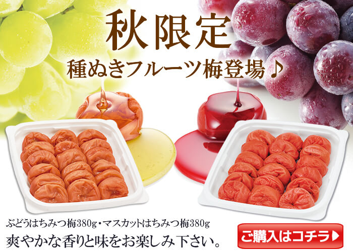 【2個以上送料無料】種ぬきマンゴー梅380g