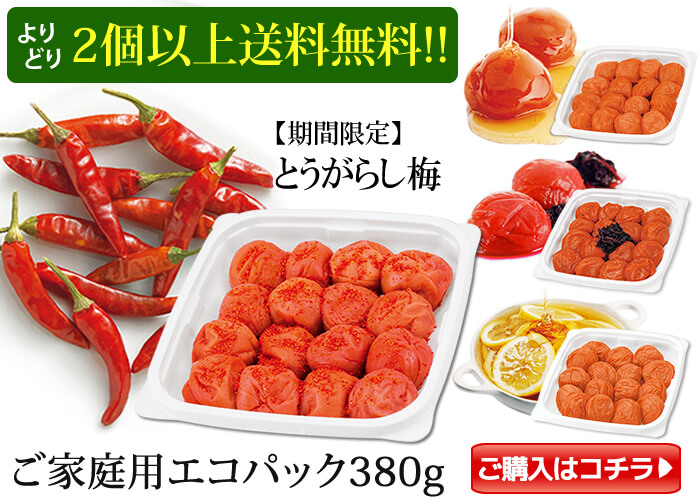 種ありも種ぬきもよりどり【2個以上送料無料】ご家庭用エコパック380g