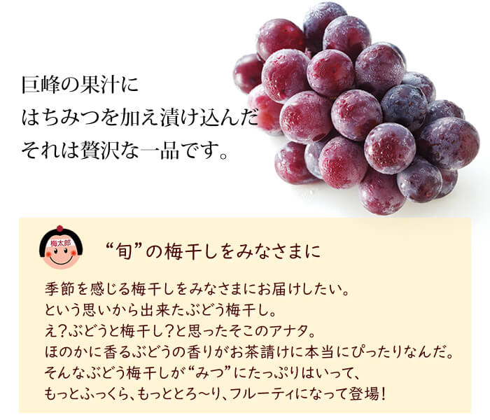 たっぷりみつがけぶどうはちみつ
