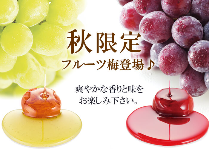 種がないからお料理に最適【種ぬき梅干し】