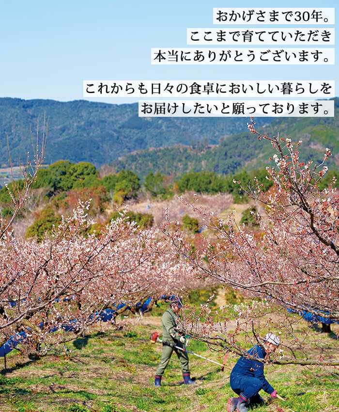 2020年 梅翁園. 春キャンペーン♪
