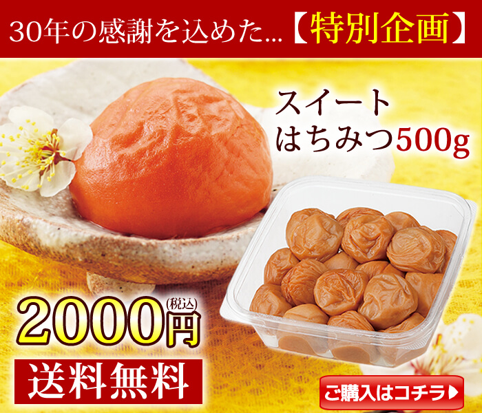 スイートはちみつ500g