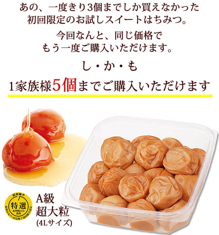 【特別企画】超大粒 スイートはちみつ500g