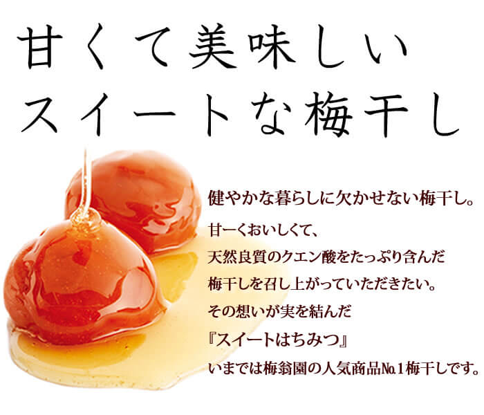 【特別企画】超大粒 スイートはちみつ500g