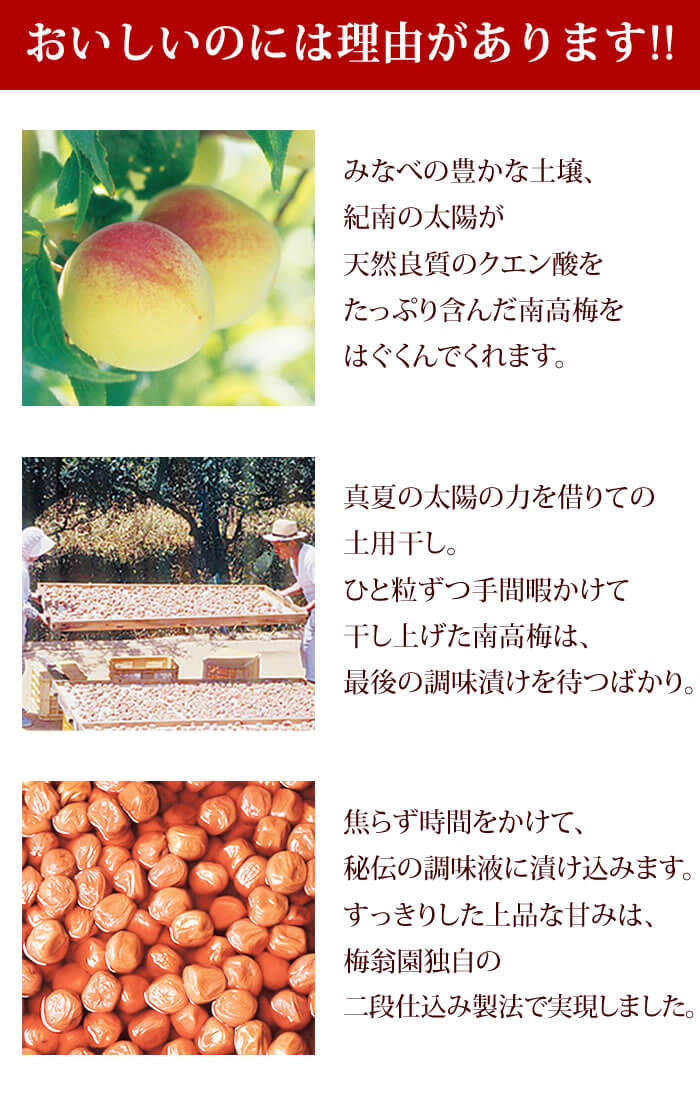 【特別企画】超大粒 スイートはちみつ500g
