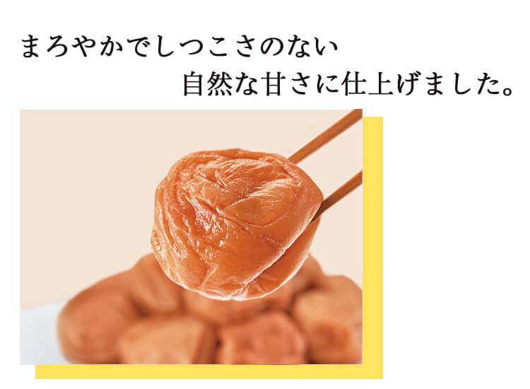 スイートはちみつ360g 3パックセット