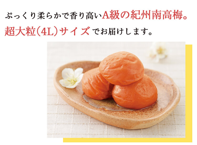 スイートはちみつ360g 3パックセット