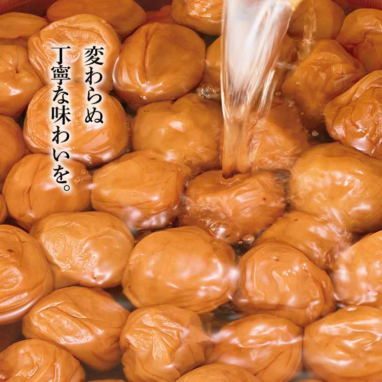 梅翁園. 春キャンペーン♪