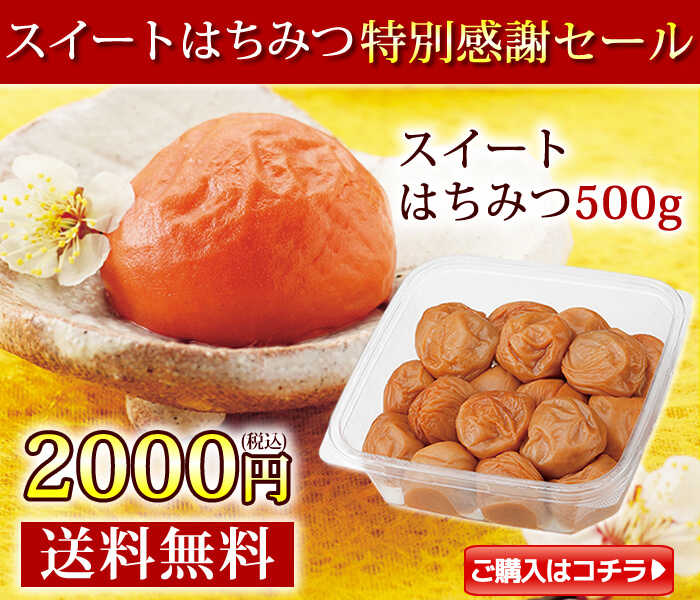 スイートはちみつ500g