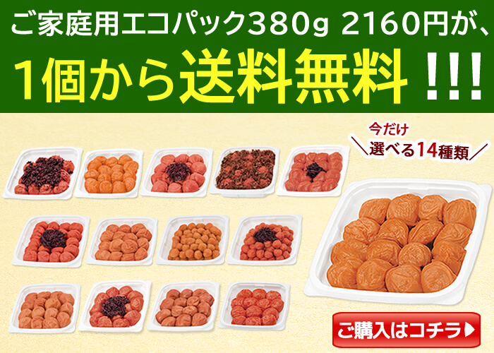 ご家庭用エコパック380g