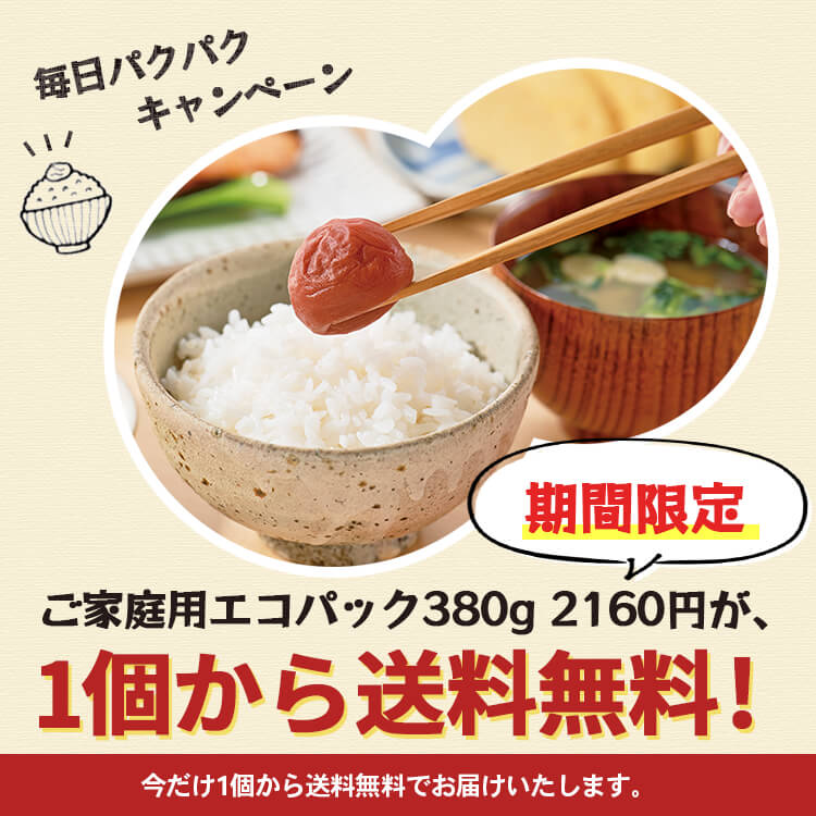 ご家庭用エコパック380g