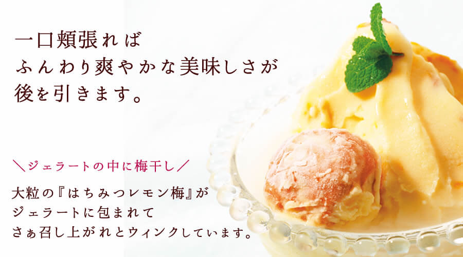 梅うめジェラート はちみつレモン梅