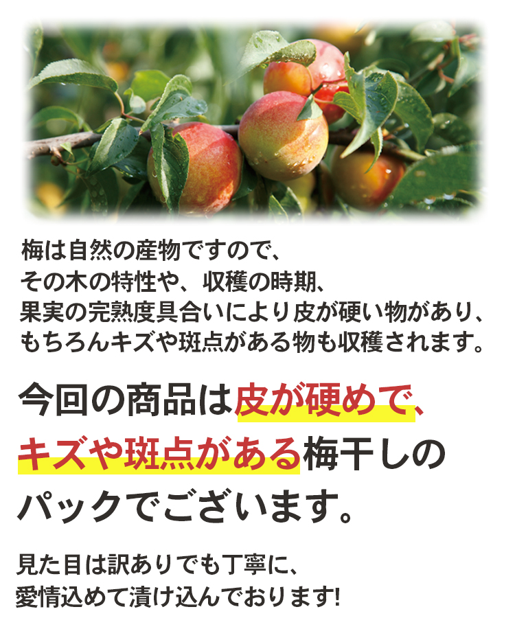 【ネット限定】キズや斑点あり・皮が硬め あかね800g
