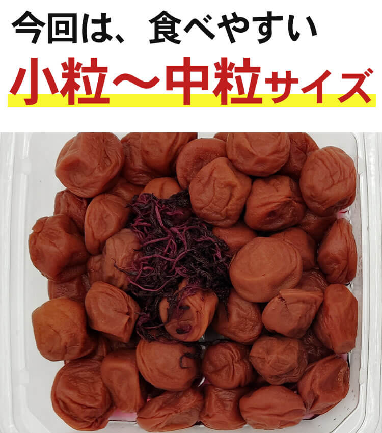 【ネット限定】キズや斑点あり・皮が硬め あかね800g