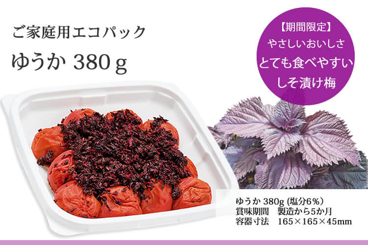 ご家庭用エコパック380g