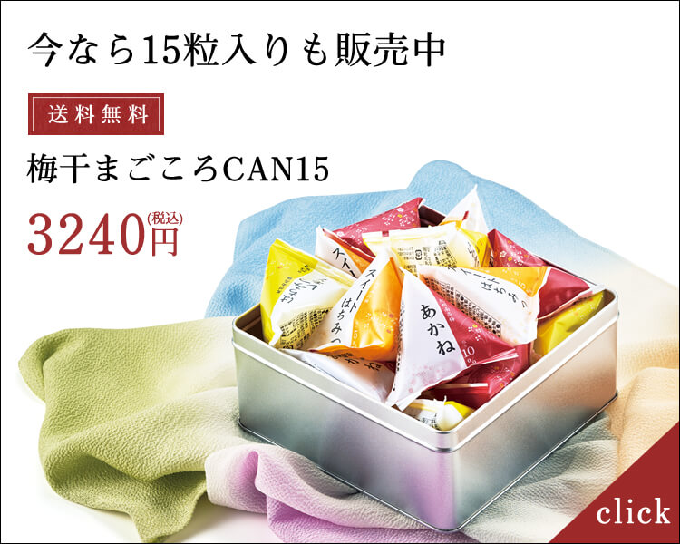 新登場♪梅干CAN36