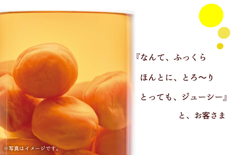 たっぷりみつがけ スイート&レモン