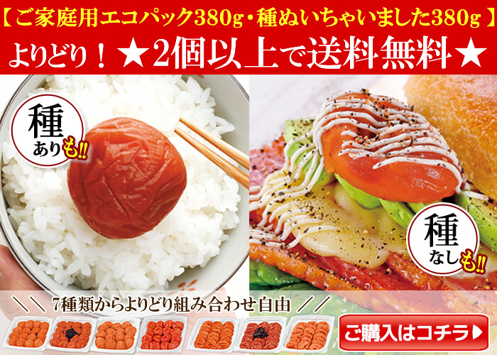 種ありも種ぬきもよりどり【2個以上送料無料】ご家庭用エコパック380g