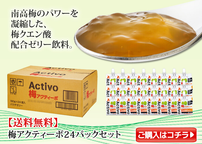 梅アクティーボ24パック入り