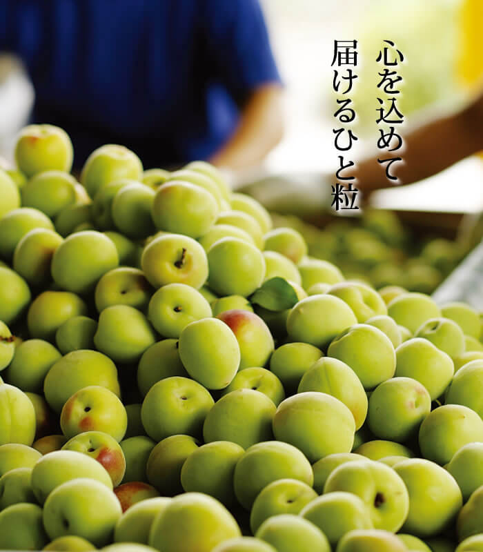 2021年 梅翁園. 中元キャンペーン♪