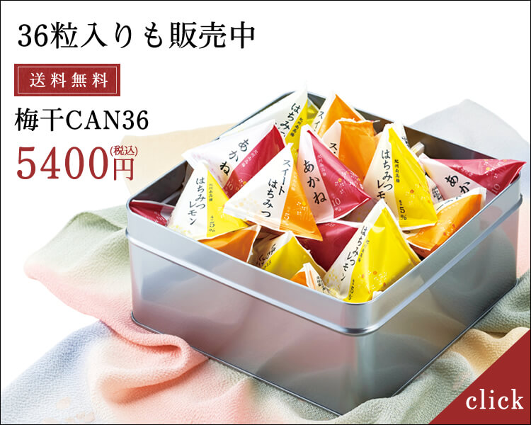 梅干まごころCAN15