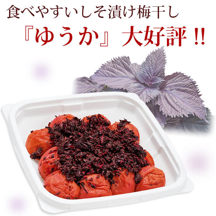 ゆうか ご家庭用エコパック380g
