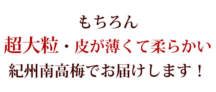 ゆうか　ご家庭用エコパック380g