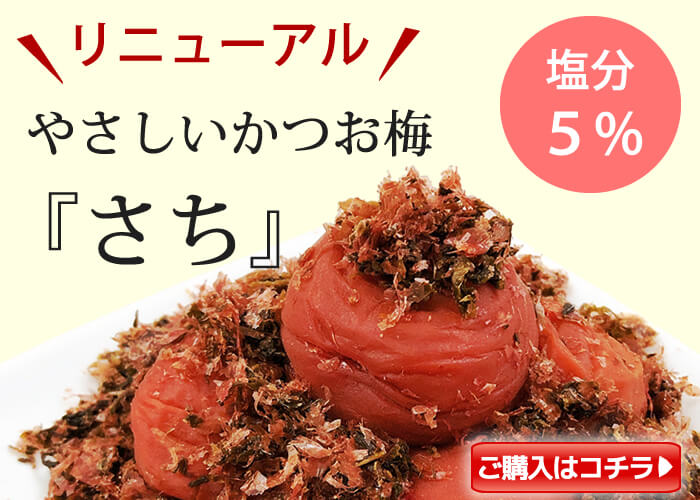 【季節限定】種ぬき苺はちみつ梅380g