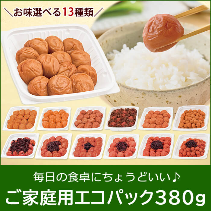 ご家庭用エコパック380g