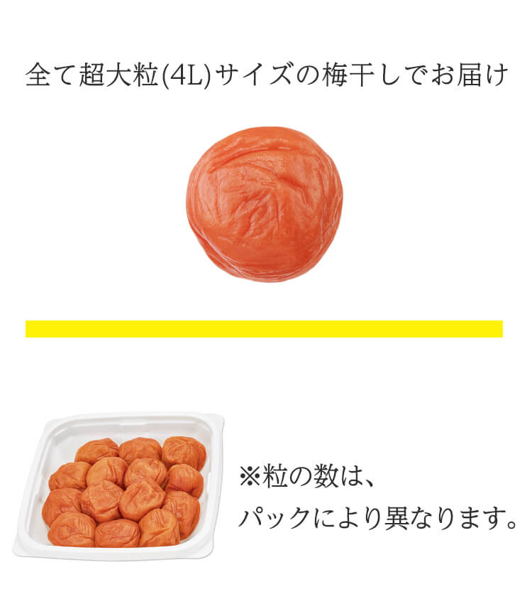 ご家庭用エコパック360g