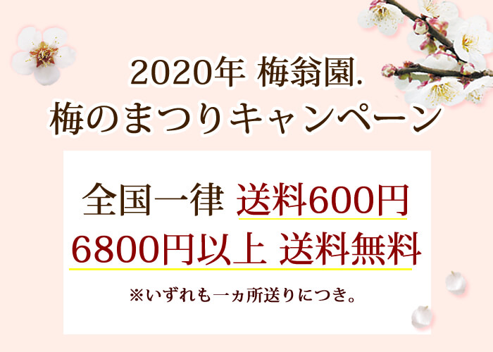 2020年 梅翁園. 梅まつりキャンペーン♪