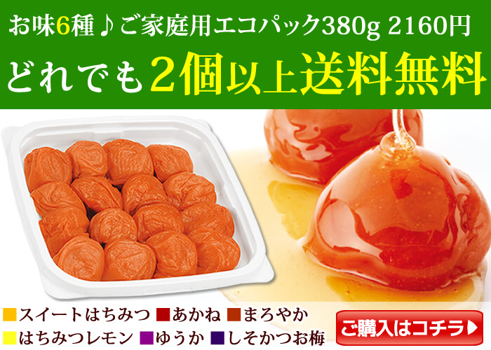 ご家庭用エコパック380g