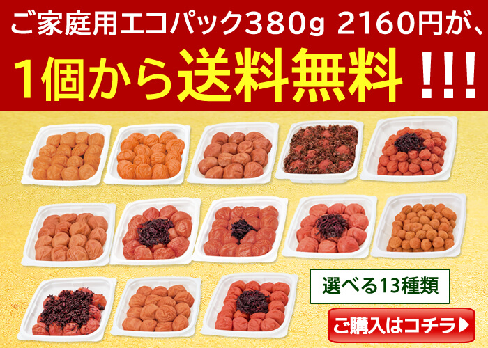 ご家庭用エコパック380g
