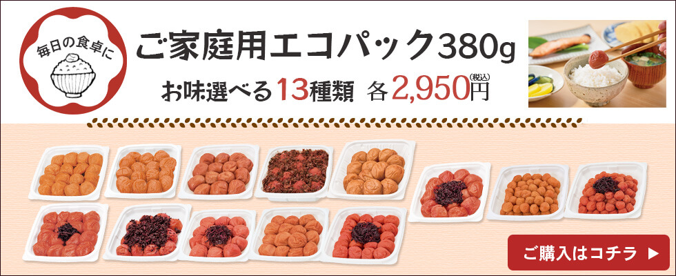 ご家庭用エコパック380g