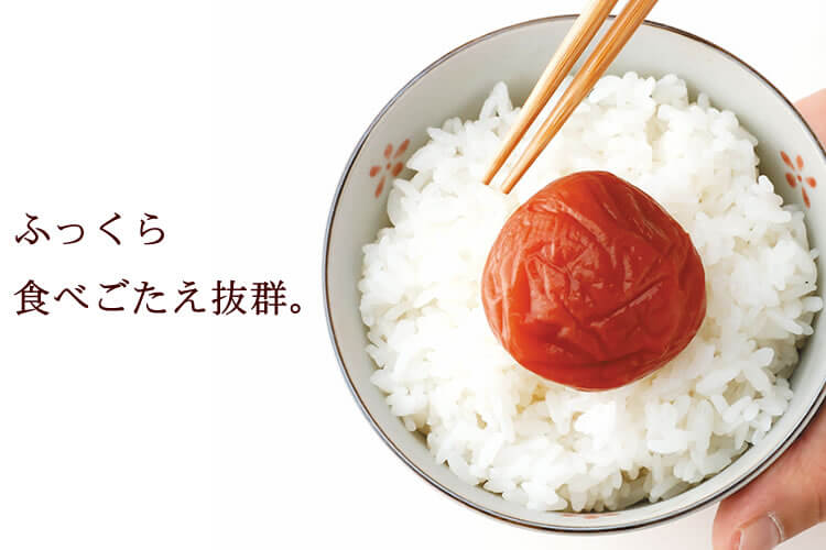 ご家庭用エコパック360g