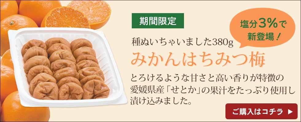 みかんはちみつ梅380g