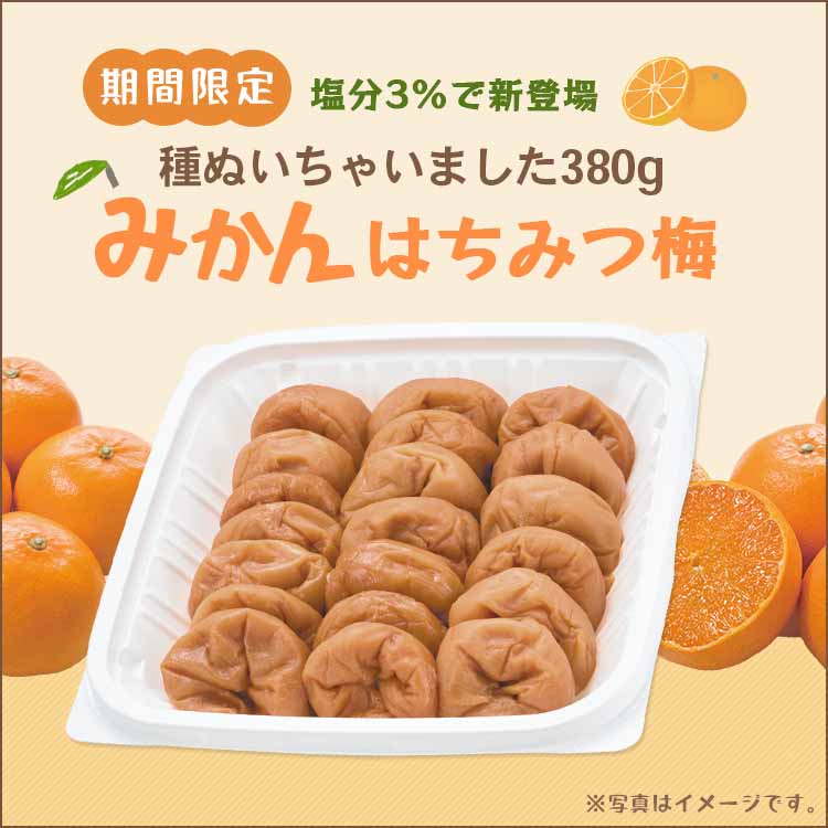 種ぬきみかん380g