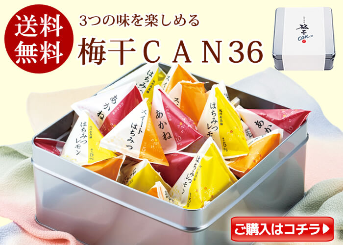 梅干しCAN36