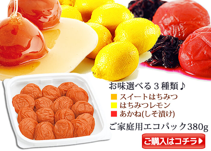 種ありも種ぬきもよりどり【2個以上送料無料】ご家庭用エコパック380g