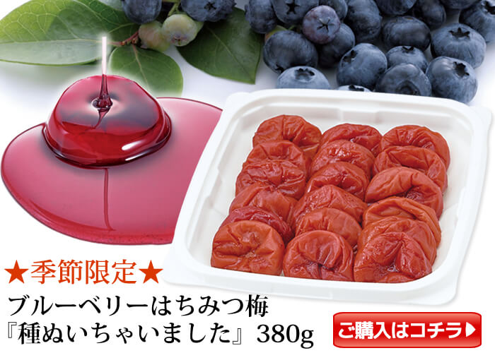 【2個以上送料無料】種ぬきマンゴー梅380g