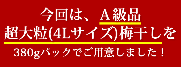 しそかつお梅 ご家庭用エコパック380g