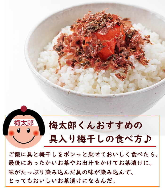 ご家庭用エコパック380g