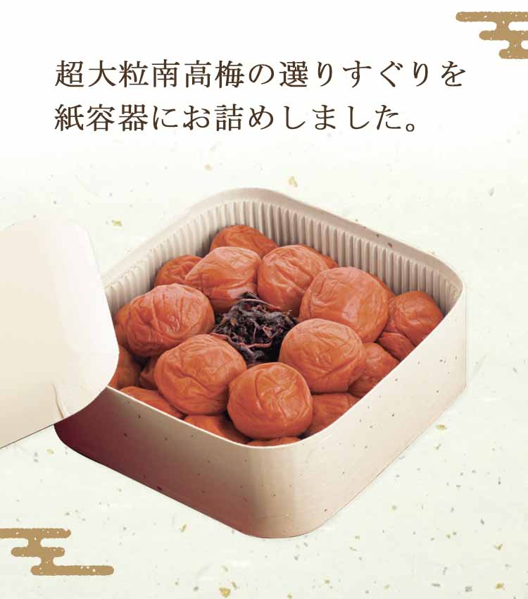 梅干し　高級ギフト　紀州南高梅干し　梅珠手箱（うめたまてばこ）