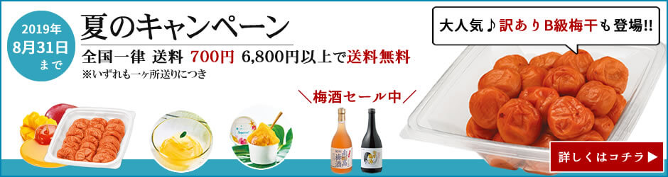 夏のキャンペーン