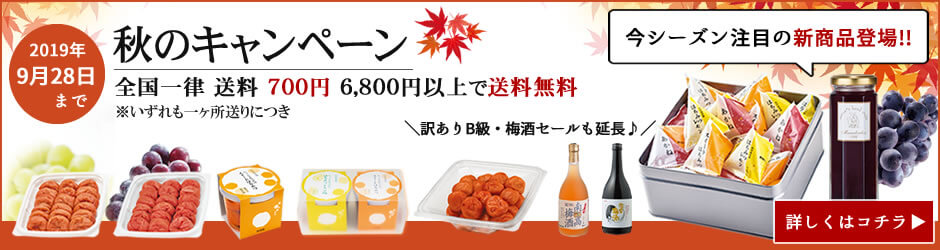 夏のキャンペーン