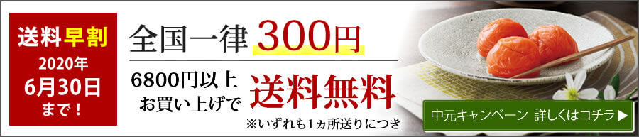 中元キャンペーン